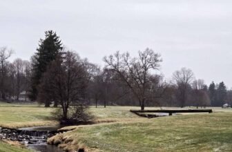 The Little Issues E-newsletter #456 – Life, ...