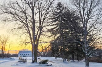 The Little Issues E-newsletter #457 – Life, ...