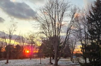 The Little Issues E-newsletter #459 – Life, ...