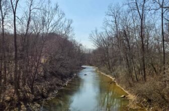 The Little Issues E-newsletter #460 – Life, ...