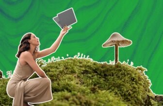 I touched grass and now area grey laptops make me ...