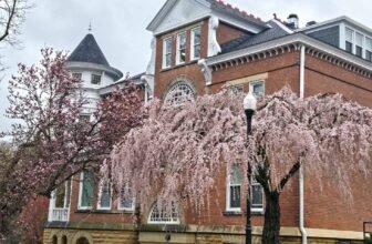 The Little Issues E-newsletter #463 – Life, ...