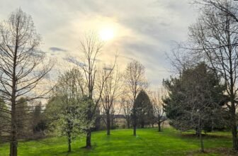 The Little Issues E-newsletter #465 – Life, ...