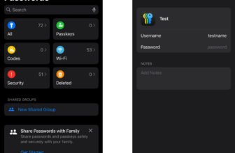 How one can use the Apple Passwords app