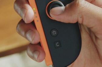 We lastly know what the Nintendo Swap C button doe...