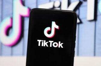 EU tech chiefs imagine TikTok is breaking advert t...