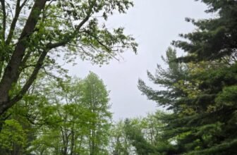 The Little Issues E-newsletter #469 – Life, ...