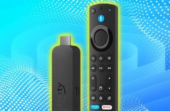 I ended utilizing my Fireplace Stick and this $30 ...