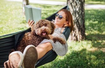 Learn how to Make Relaxation Really feel Productiv...