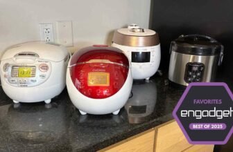 One of the best rice cooker for 2025