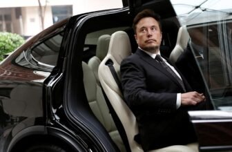 Elon Musk reportedly fired a key Tesla government ...