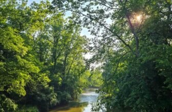 The Little Issues E-newsletter #473 – Life, ...