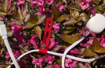 In the event you solely purchase one USB-C charger...