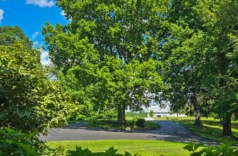 The Little Issues Publication #476 – Life, l...