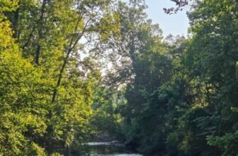 The Little Issues Publication #483 – Life, l...