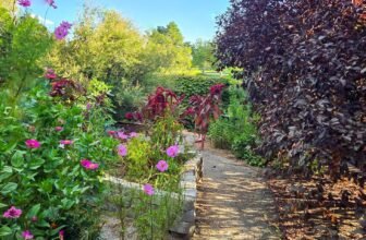 The Little Issues Publication #486 – Life, l...