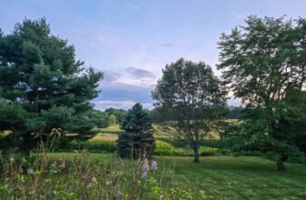 The Little Issues E-newsletter #485 – Life, ...