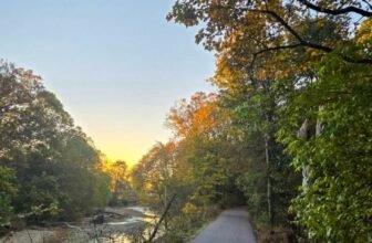 The Little Issues E-newsletter #491 – Life, ...