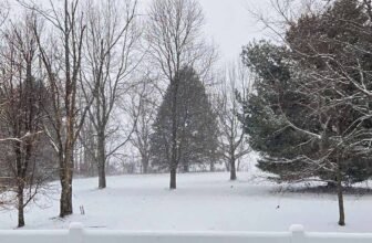 The Little Issues E-newsletter #499 – Life, ...